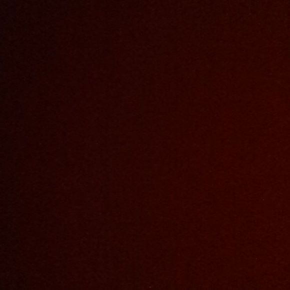 Meet your Posher, Jackson - Picture 1 of 1